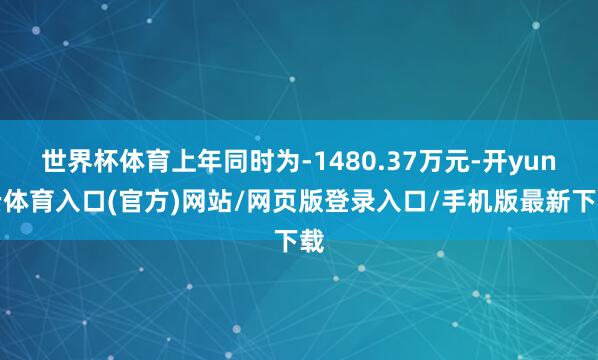 世界杯体育上年同时为-1480.37万元-开yun云体育入口(官方)网站/网页版登录入口/手机版最新下载