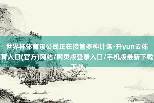 世界杯体育该公司正在接管多种计谋-开yun云体育入口(官方)网站/网页版登录入口/手机版最新下载