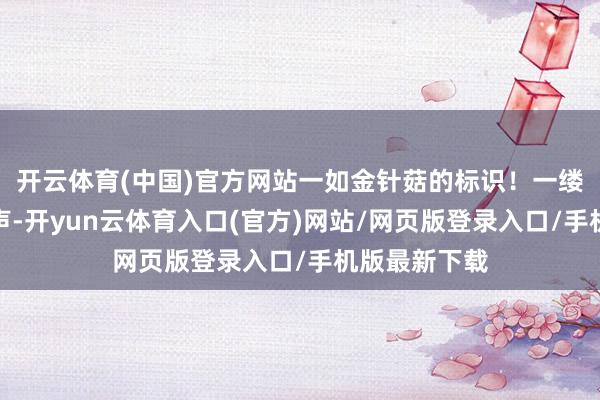 开云体育(中国)官方网站一如金针菇的标识!一缕一缕的断裂声-开yun云体育入口(官方)网站/网页版登录入口/手机版最新下载